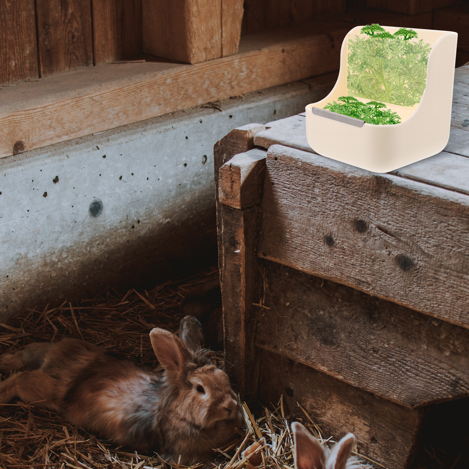 2-in-1 Rabbit Feeder Hay Rack  - Food Storage Dispenser のレビューと価格