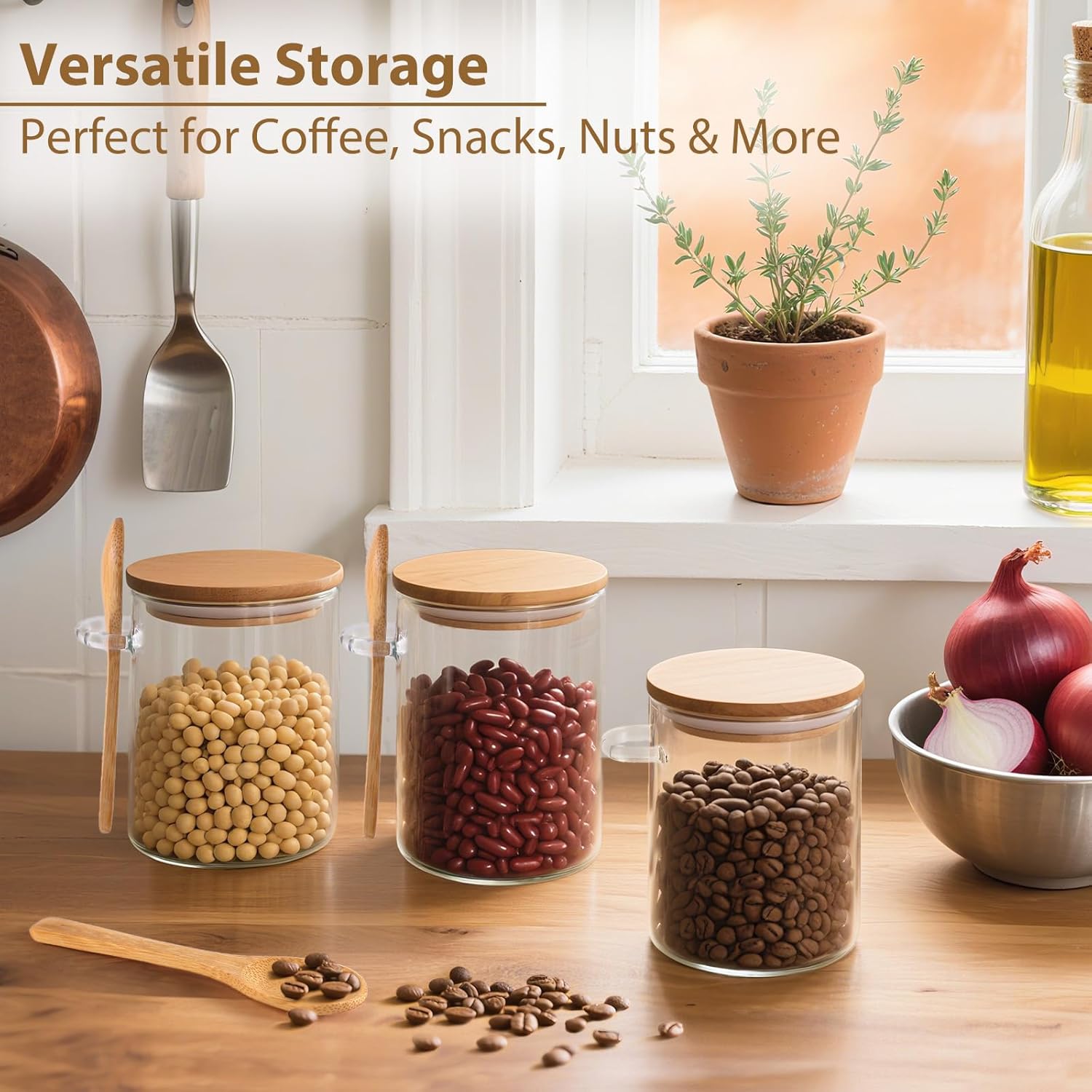 6 Pack Overnight Oats Containe - Glass Meal Prep Container のレビューと価格