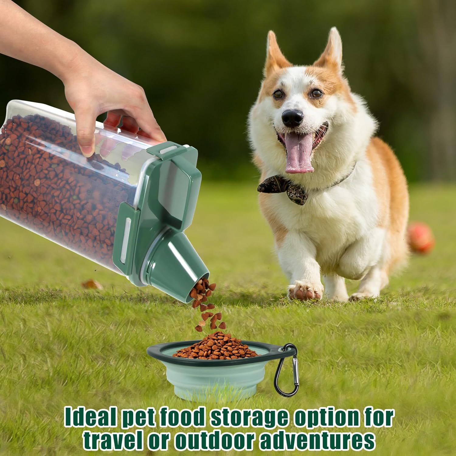 3Lbs Pet Food Storage Containe - Food Storage Dispenser のレビューと価格