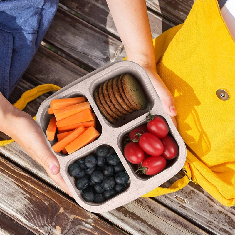 4 Grids Food Storage Box Porta - Food Storage Box Plastic のレビューと価格