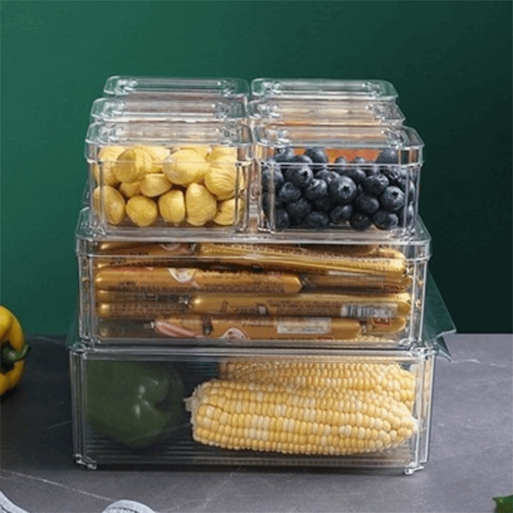 Practical Transparent Fridge O - Food Storage Practices のレビューと価格