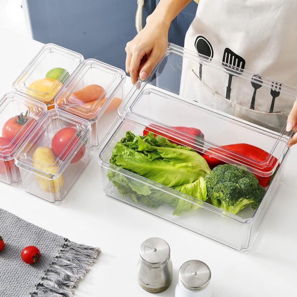 Practical Transparent Fridge O - Food Storage Practices のレビューと価格