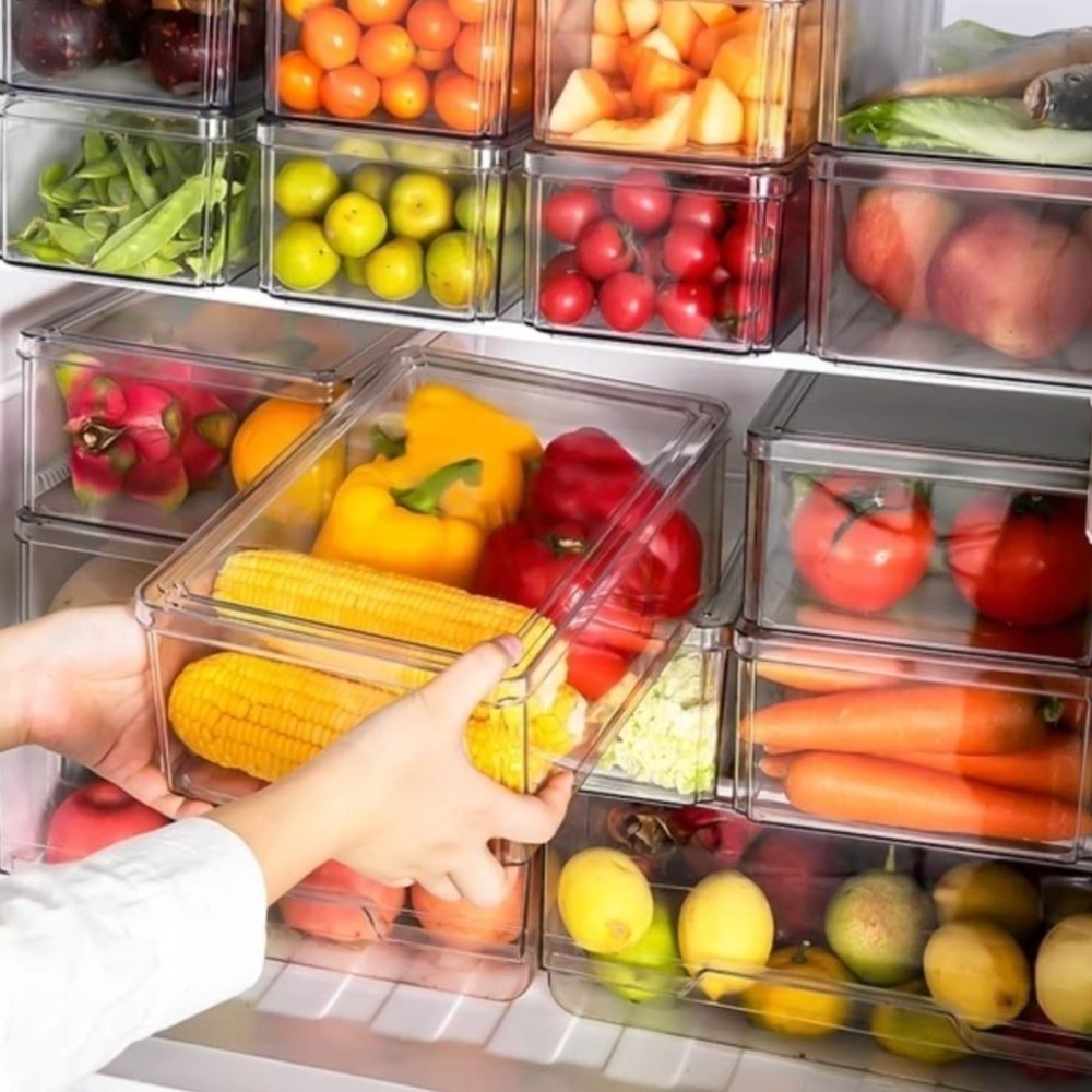 Practical Transparent Fridge O - Food Storage Practices のレビューと価格