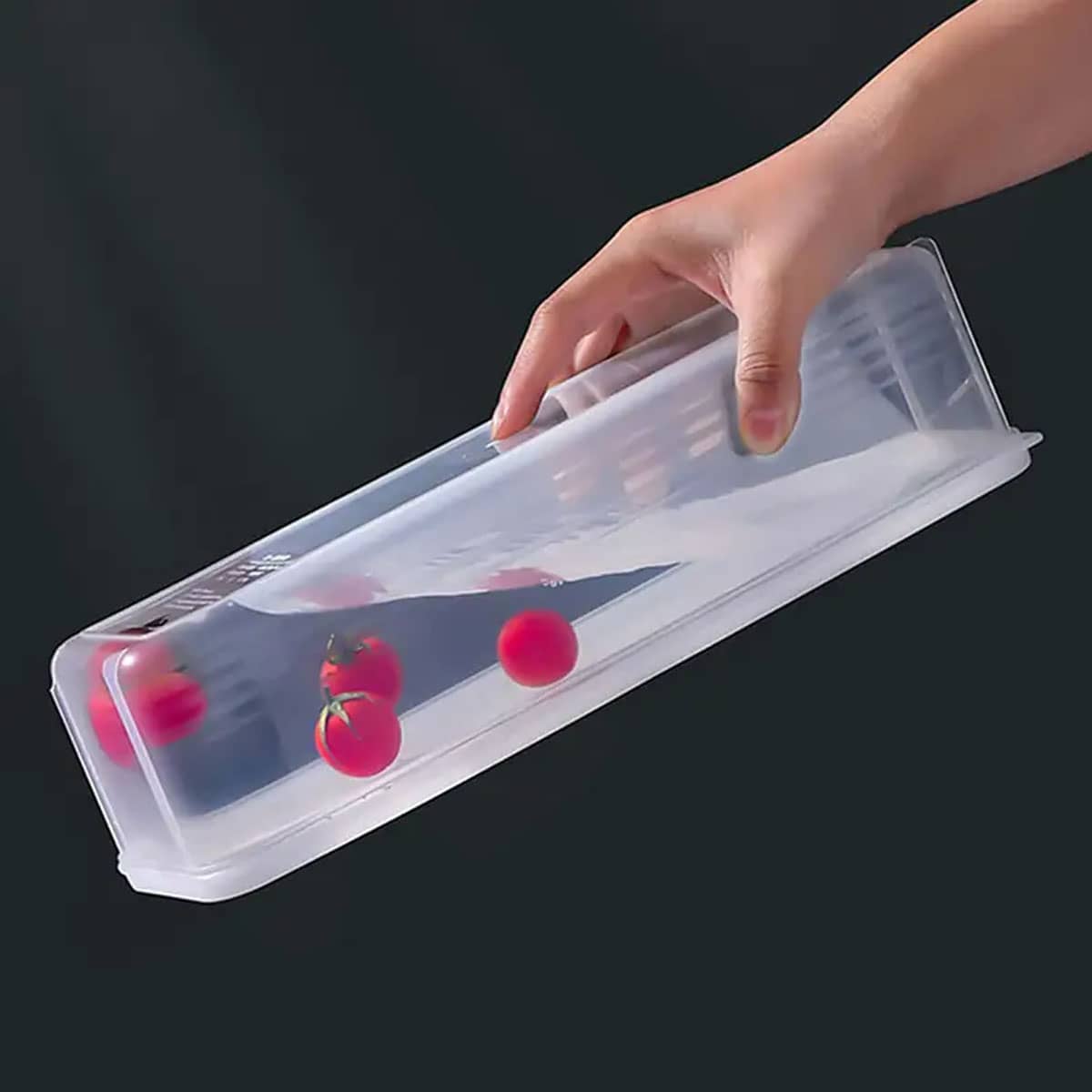 1 Plastic Transparent Storage  - Food Storage Box Plastic のレビューと価格